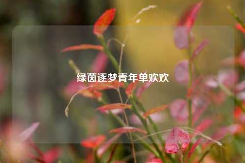 绿茵逐梦青年单欢欢