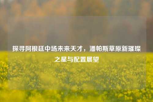 探寻阿根廷中场未来天才，潘帕斯草原新璀璨之星与配置展望
