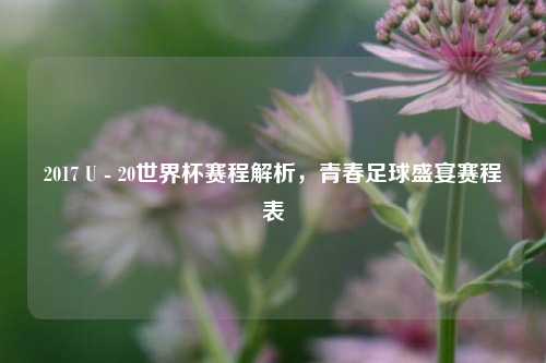2017 U - 20世界杯赛程解析，青春足球盛宴赛程表