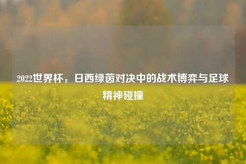 2022世界杯，日西绿茵对决中的战术博弈与足球精神碰撞