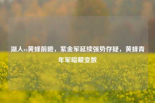 湖人vs黄蜂前瞻，紫金军延续强势存疑，黄蜂青年军暗藏变数