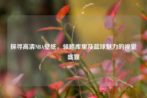 探寻高清NBA壁纸，领略库里及篮球魅力的视觉盛宴