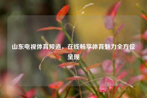 山东电视体育频道，在线畅享体育魅力全方位呈现