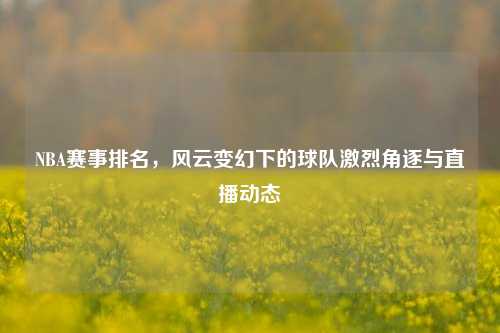 NBA赛事排名，风云变幻下的球队激烈角逐与直播动态