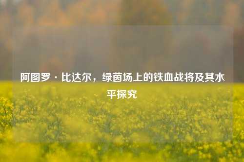 阿图罗·比达尔，绿茵场上的铁血战将及其水平探究