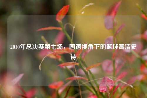 2010年总决赛第七场，国语视角下的篮球高清史诗