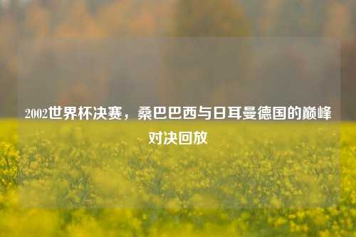 2002世界杯决赛，桑巴巴西与日耳曼德国的巅峰对决回放