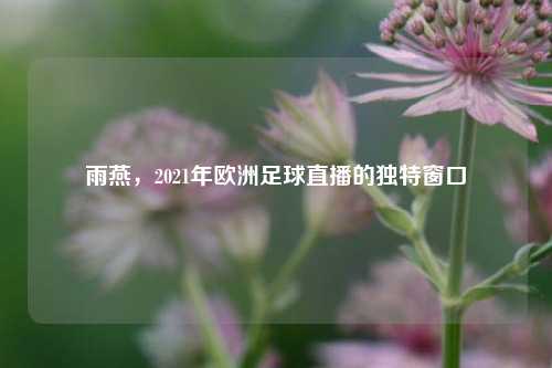 雨燕，2021年欧洲足球直播的独特窗口