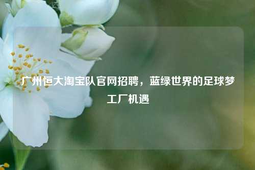 广州恒大淘宝队官网招聘，蓝绿世界的足球梦工厂机遇