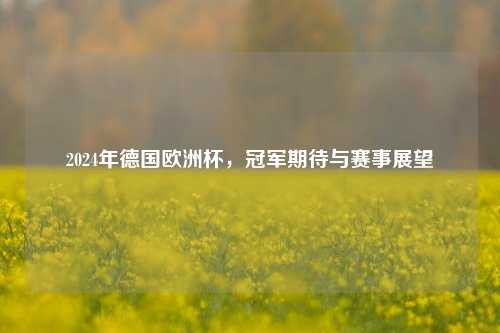 2024年德国欧洲杯，冠军期待与赛事展望