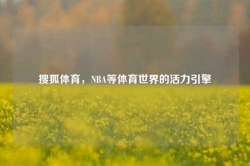 搜狐体育，NBA等体育世界的活力引擎