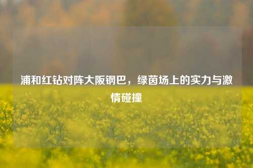 浦和红钻对阵大阪钢巴，绿茵场上的实力与激情碰撞