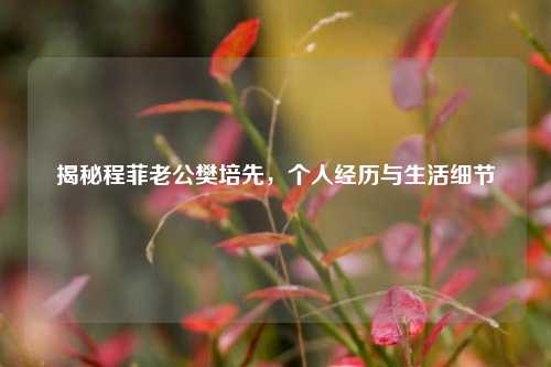 揭秘程菲老公樊培先，个人经历与生活细节