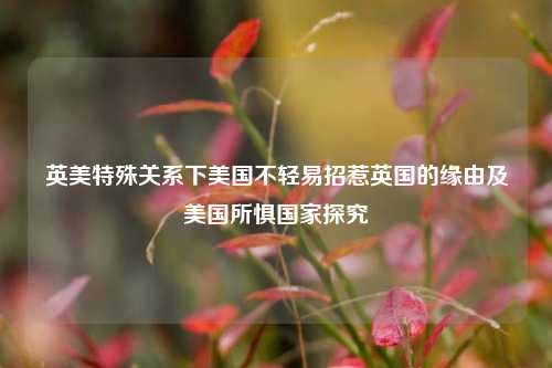 英美特殊关系下美国不轻易招惹英国的缘由及美国所惧国家探究