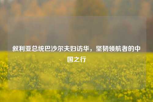 叙利亚总统巴沙尔夫妇访华，坚韧领航者的中国之行