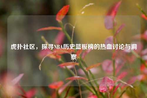 虎扑社区，探寻NBA历史篮板榜的热血讨论与洞察