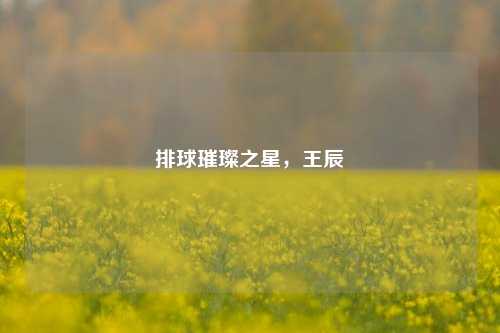 排球璀璨之星，王辰玥