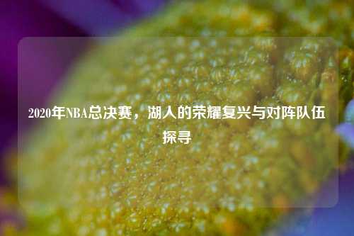 2020年NBA总决赛，湖人的荣耀复兴与对阵队伍探寻