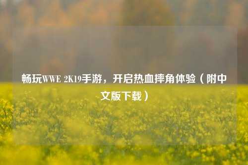 畅玩WWE 2K19手游，开启热血摔角体验（附中文版下载）