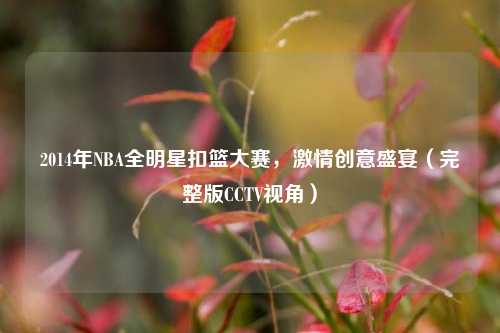 2014年NBA全明星扣篮大赛，激情创意盛宴（完整版CCTV视角）