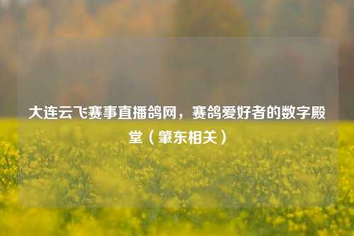 大连云飞赛事直播鸽网，赛鸽爱好者的数字殿堂（肇东相关）