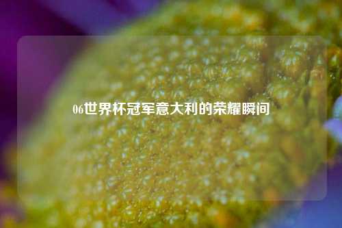 06世界杯冠军意大利的荣耀瞬间