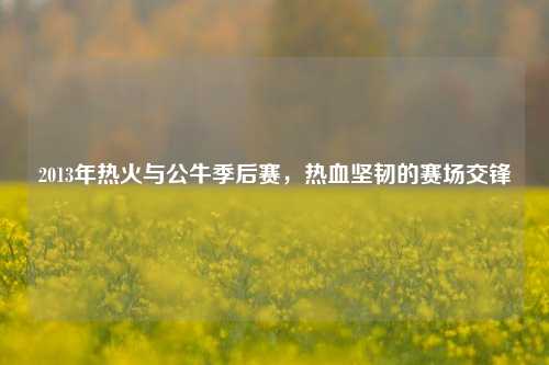 2013年热火与公牛季后赛，热血坚韧的赛场交锋