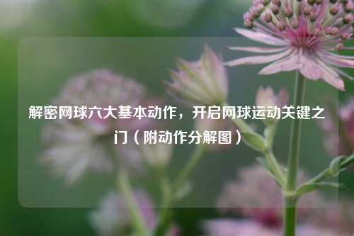 解密网球六大基本动作，开启网球运动关键之门（附动作分解图）