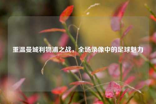 重温曼城利物浦之战，全场录像中的足球魅力