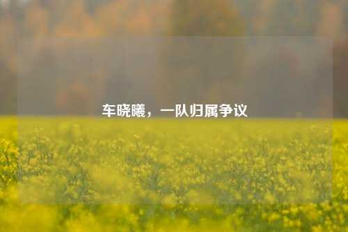 车晓曦，一队归属争议