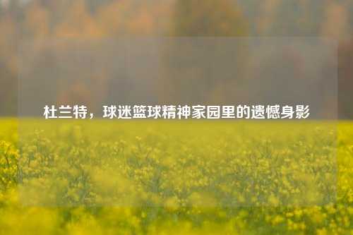 杜兰特，球迷篮球精神家园里的遗憾身影