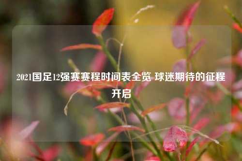 2021国足12强赛赛程时间表全览 球迷期待的征程开启