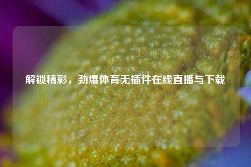 解锁精彩，劲爆体育无插件在线直播与下载