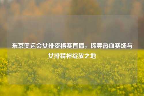东京奥运会女排资格赛直播，探寻热血赛场与女排精神绽放之地