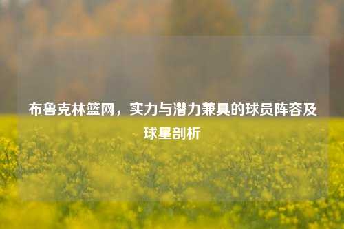 布鲁克林篮网，实力与潜力兼具的球员阵容及球星剖析