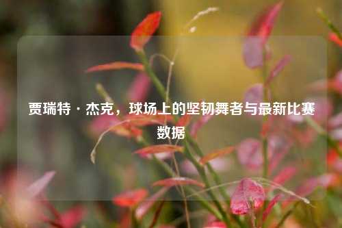 贾瑞特·杰克，球场上的坚韧舞者与最新比赛数据
