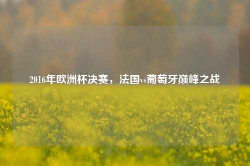 2016年欧洲杯决赛，法国vs葡萄牙巅峰之战