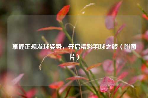 掌握正规发球姿势，开启精彩羽球之旅（附图片）