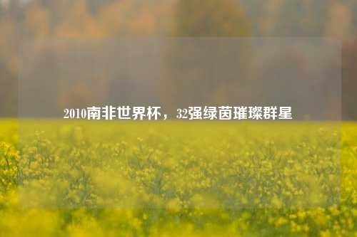 2010南非世界杯，32强绿茵璀璨群星