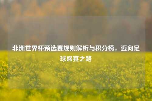 非洲世界杯预选赛规则解析与积分榜，迈向足球盛宴之路