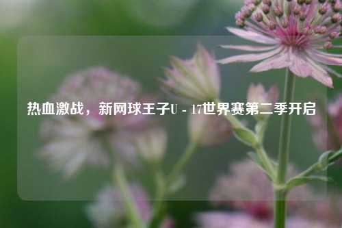 热血激战，新网球王子U - 17世界赛第二季开启