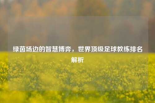 绿茵场边的智慧博弈，世界顶级足球教练排名解析