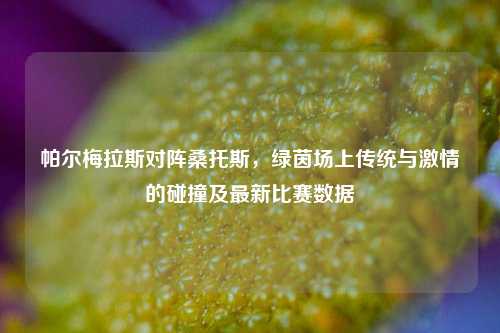 帕尔梅拉斯对阵桑托斯，绿茵场上传统与激情的碰撞及最新比赛数据