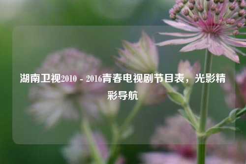 湖南卫视2010 - 2016青春电视剧节目表，光影精彩导航
