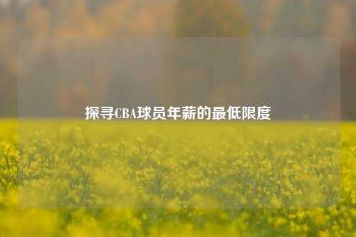 探寻CBA球员年薪的最低限度