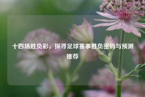 十四场胜负彩，探寻足球赛事胜负密码与预测推荐