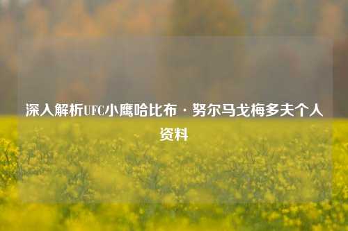 深入解析UFC小鹰哈比布·努尔马戈梅多夫个人资料