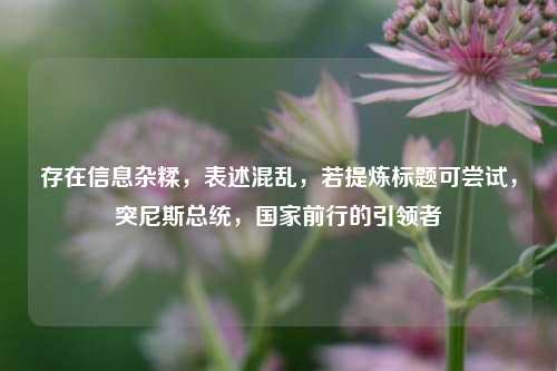 存在信息杂糅，表述混乱，若提炼标题可尝试，突尼斯总统，国家前行的引领者