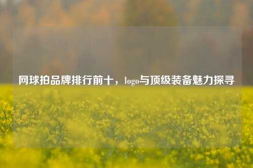 网球拍品牌排行前十，logo与顶级装备魅力探寻