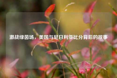 激战绿茵场，美国与尼日利亚比分背后的故事